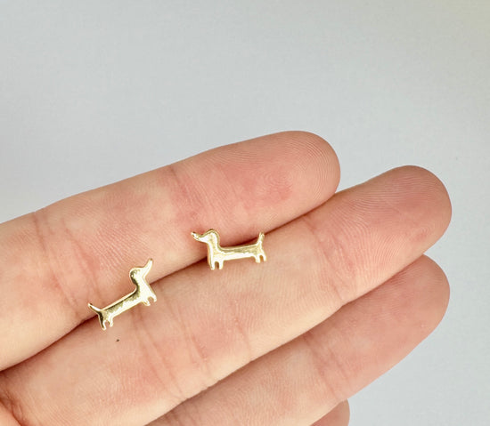 Dachshund Studs